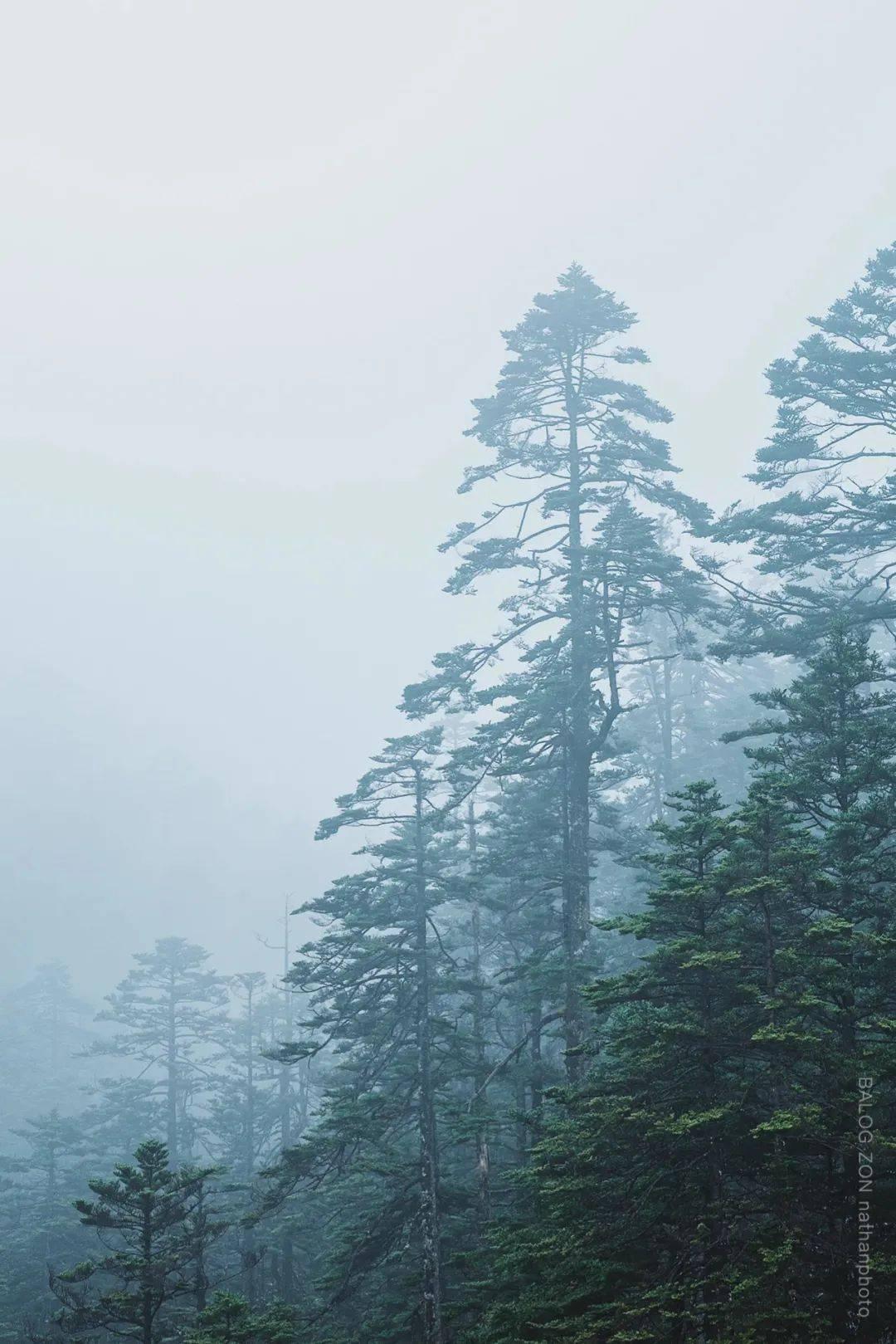 雷竞技比分